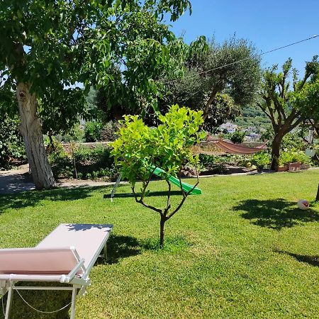 Il Giardino Διαμέρισμα Barano dʼIschia Εξωτερικό φωτογραφία