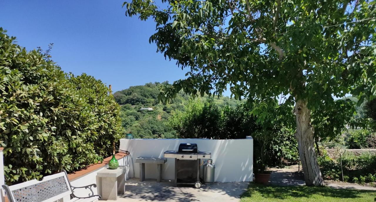 Il Giardino Διαμέρισμα Barano dʼIschia Εξωτερικό φωτογραφία